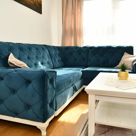 Panorama 公寓 巴尼西卢卡